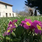 Casa Sponge * Pergola