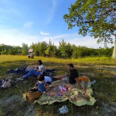 Casa Sponge Отель типа 