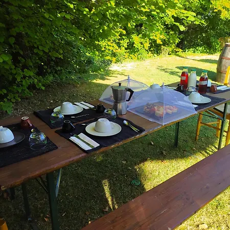 Casa Sponge 住宿加早餐酒店 *