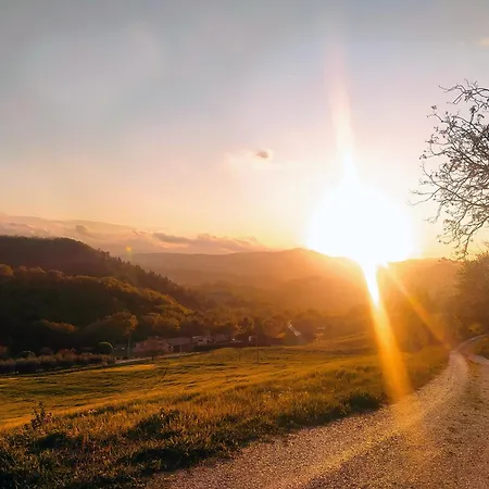 Casa Sponge Bed & Breakfast Pergola