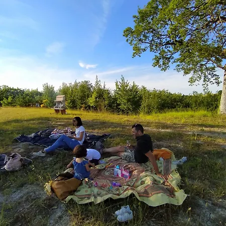 Casa Sponge Отель типа 