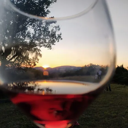 Casa Sponge Bed & Breakfast