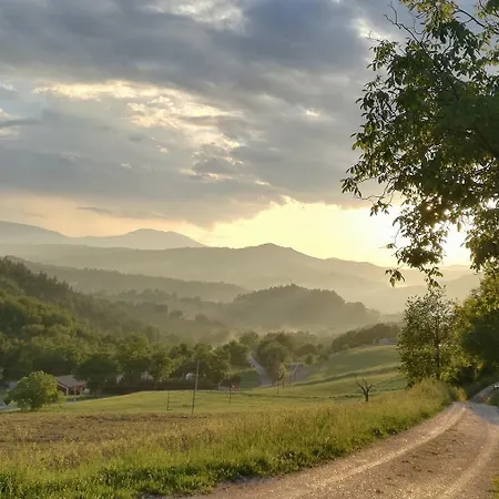 Casa Sponge Отель типа 