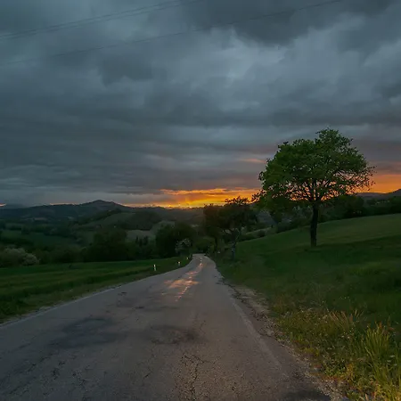 Bed & Breakfast Casa Sponge *