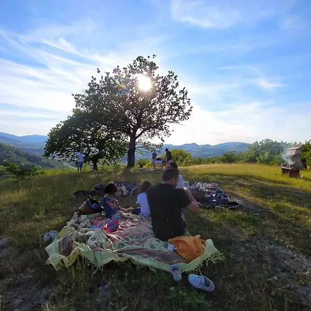 Casa Sponge * Pergola