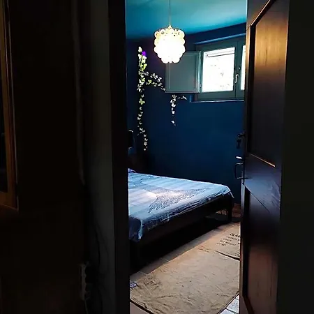 Casa Sponge * Пергола