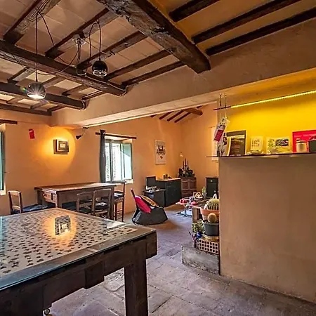 Casa Sponge *