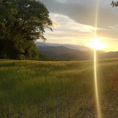 Casa Sponge Отель типа 