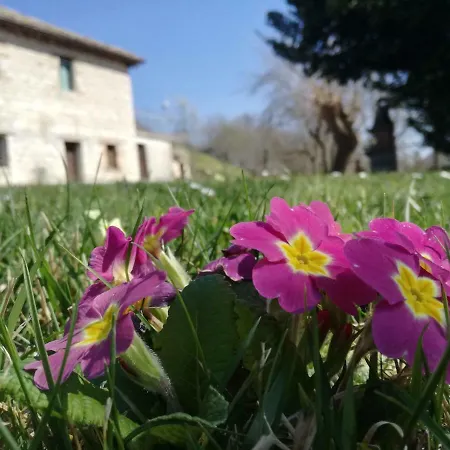 Casa Sponge * Пергола