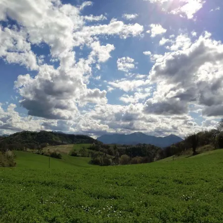 Casa Sponge * Pergola