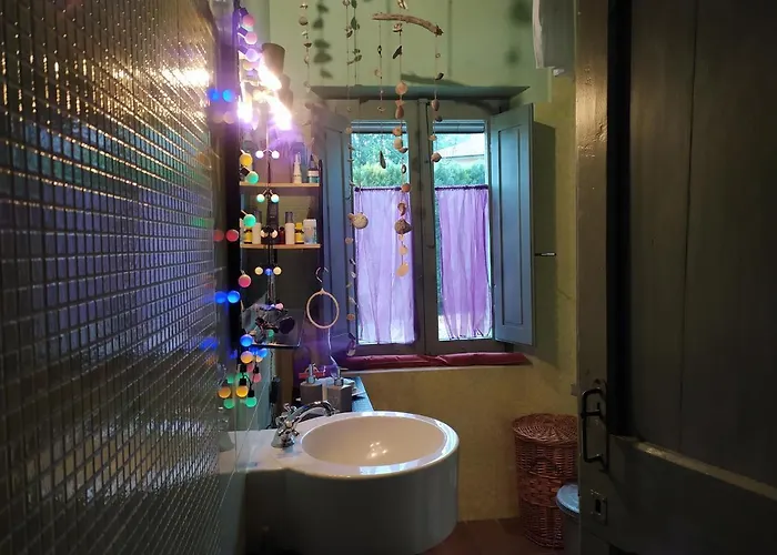 Casa Sponge 佩尔戈拉