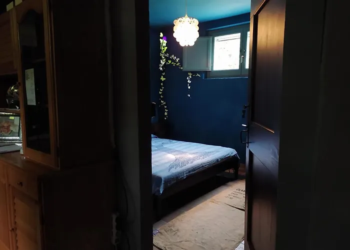 Casa Sponge 佩尔戈拉