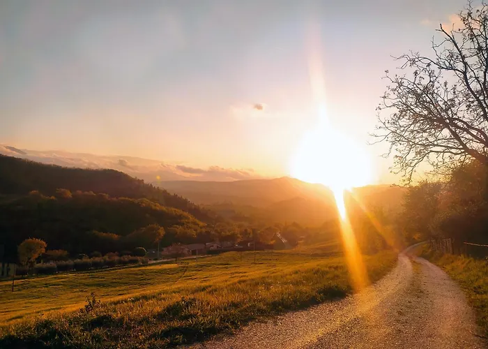 Casa Sponge 住宿加早餐酒店 佩尔戈拉