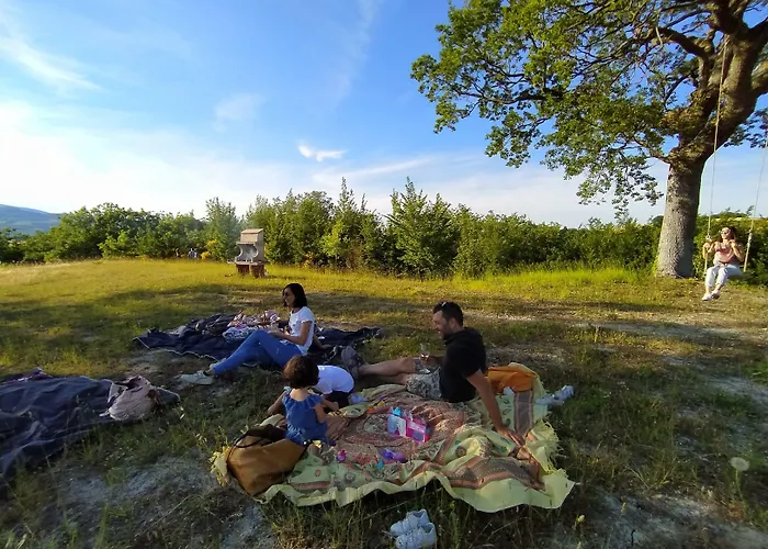 Casa Sponge 住宿加早餐酒店 *