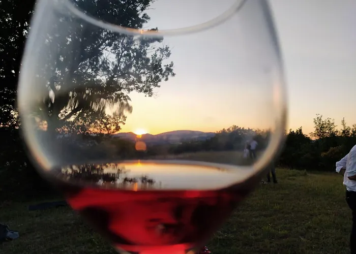 Casa Sponge 住宿加早餐酒店