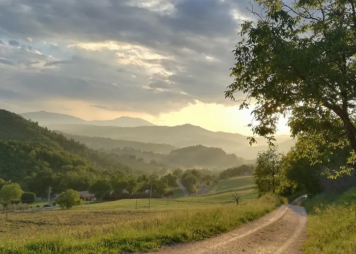 Casa Sponge 住宿加早餐酒店 *