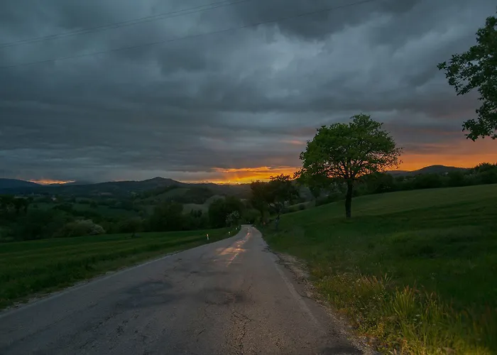 住宿加早餐酒店 Casa Sponge *
