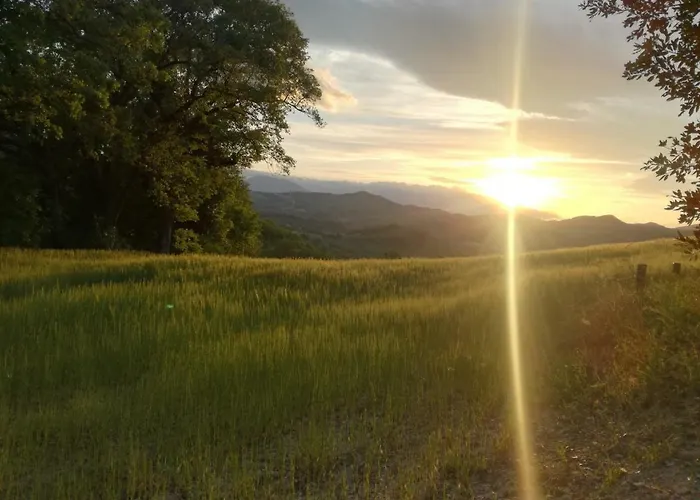 Casa Sponge 住宿加早餐酒店