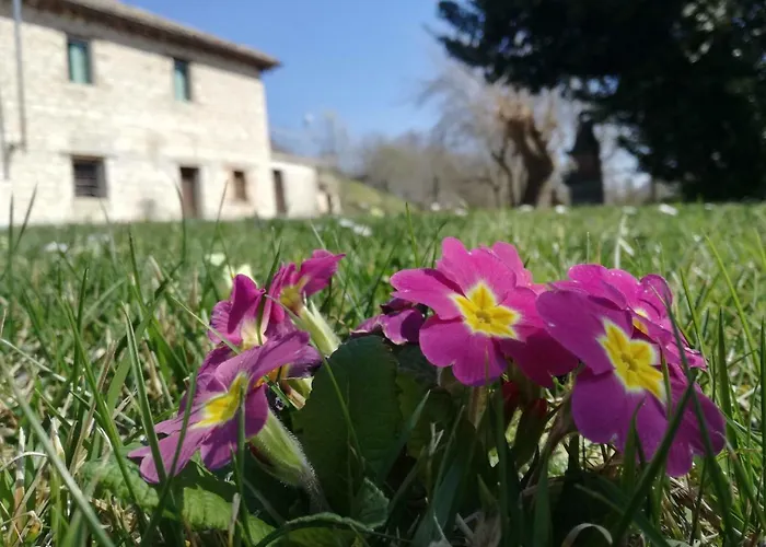 Casa Sponge * 佩尔戈拉