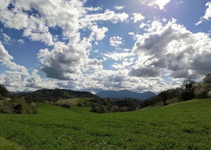 Casa Sponge * 佩尔戈拉