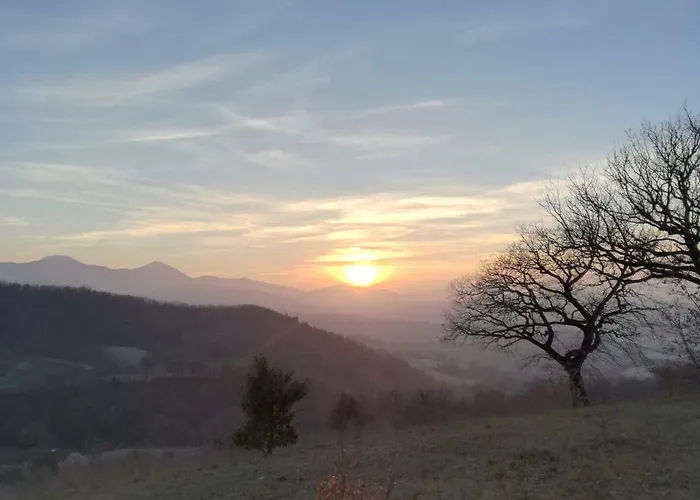 Casa Sponge 佩尔戈拉